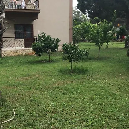 דירה Palm *