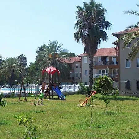 Palm *