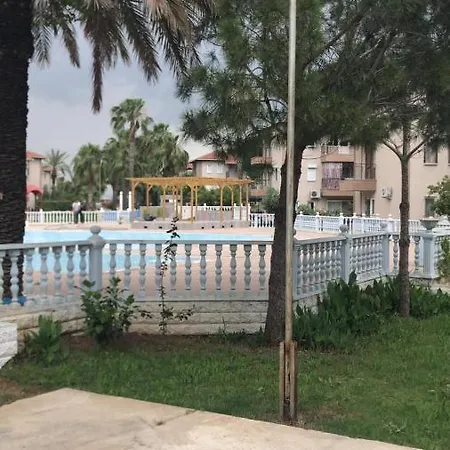 Palm * באלאק